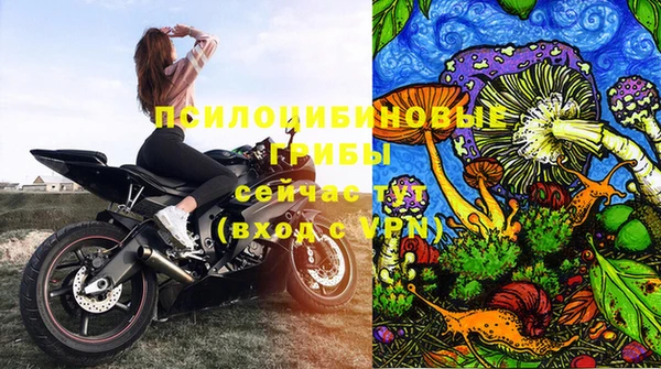 Альфа ПВП Зерноград