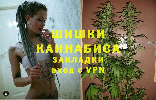 Альфа ПВП Зерноград
