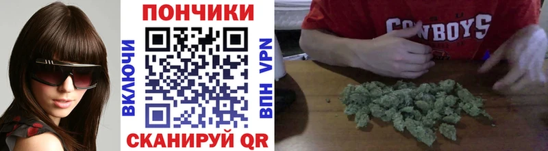 Купить где  Сурск  Бошки марихуана индика 